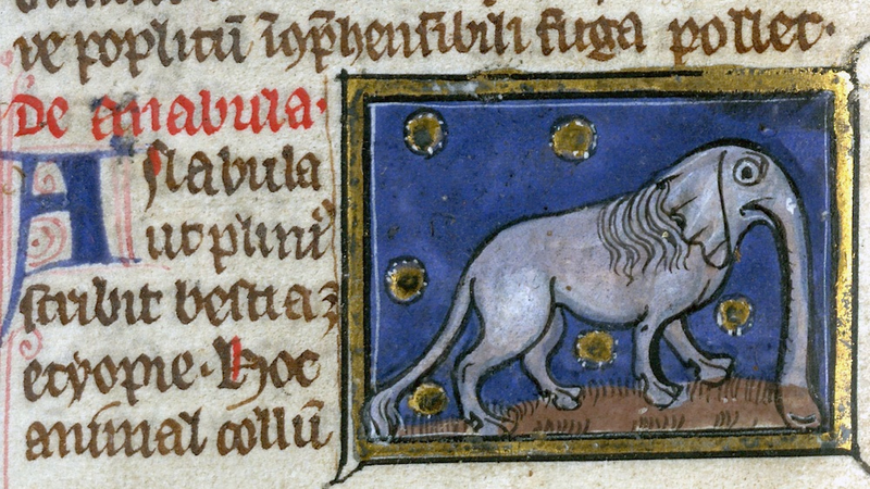Illustration for article titled Bizarre and vulgar illustrations from illuminated medieval manuscripts